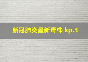 新冠肺炎最新毒株 kp.3